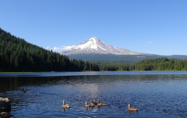 MOUNT HOOD