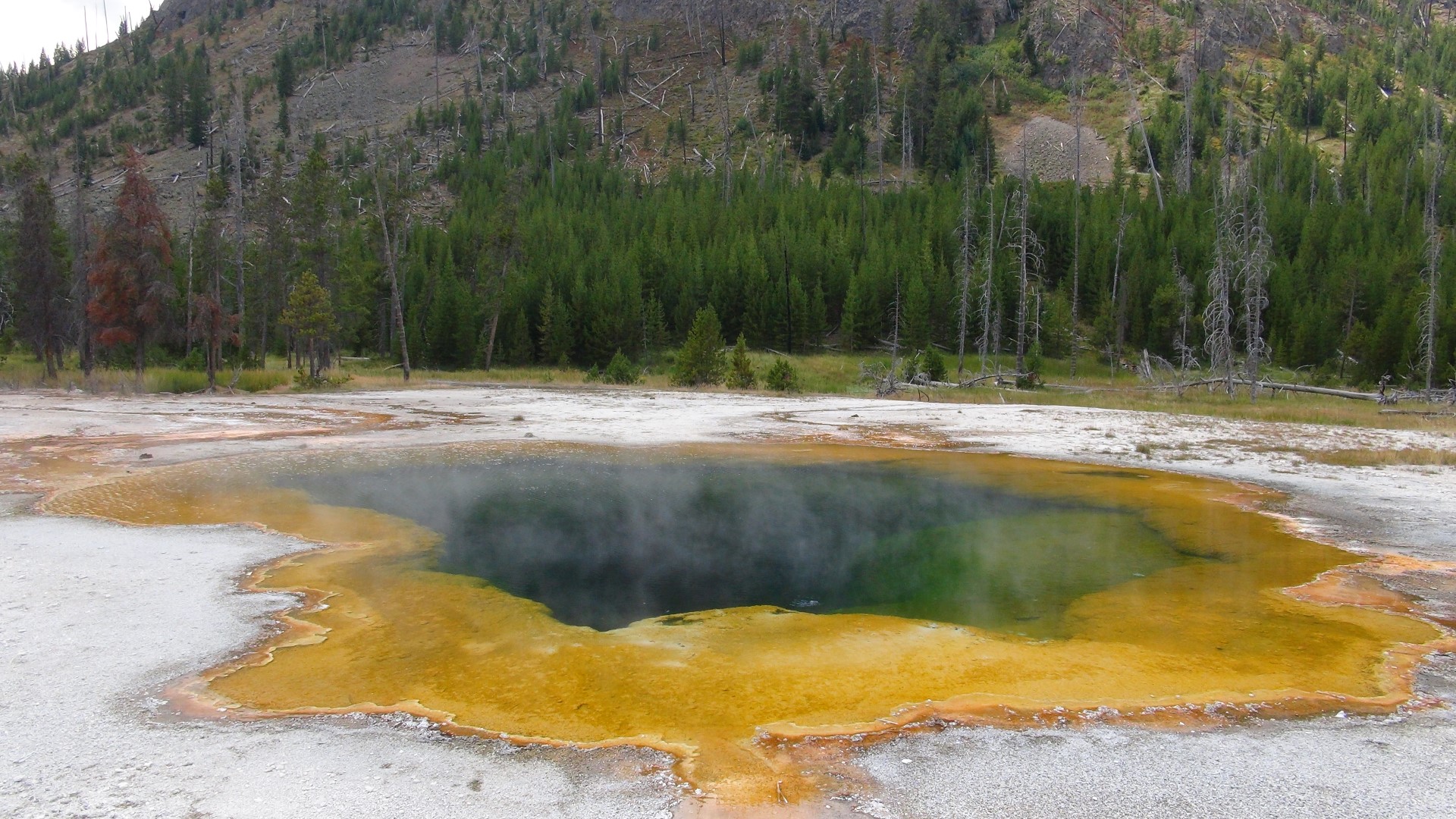 GEYSERS & HOT SPRINGS