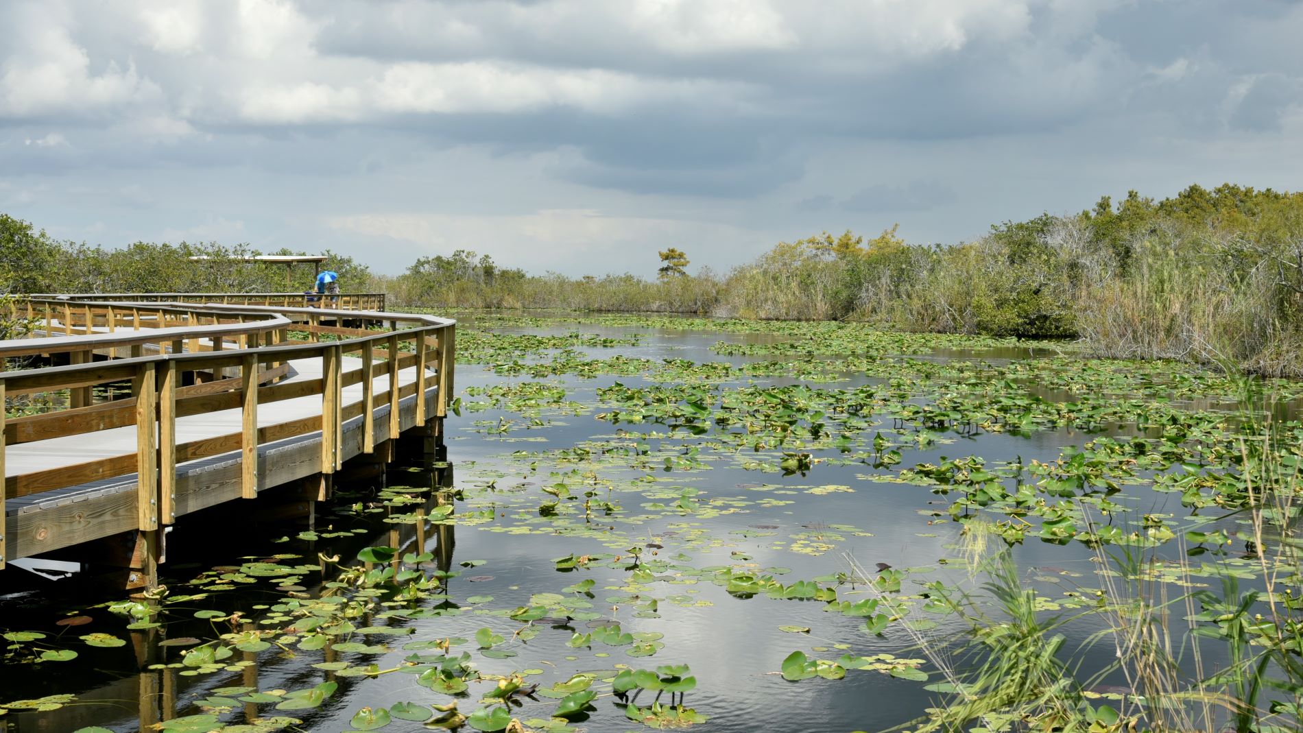 FLORIDA, USA