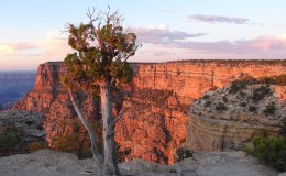 CANYONS AND GORGES