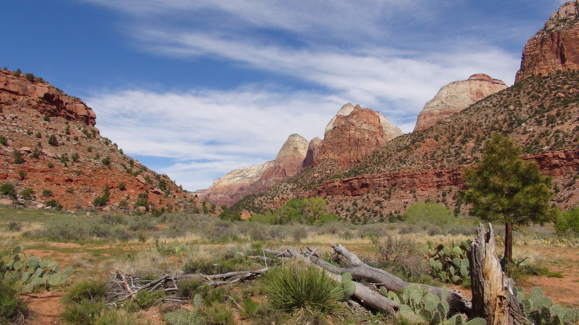 ZION NATIONAL PARK, USA