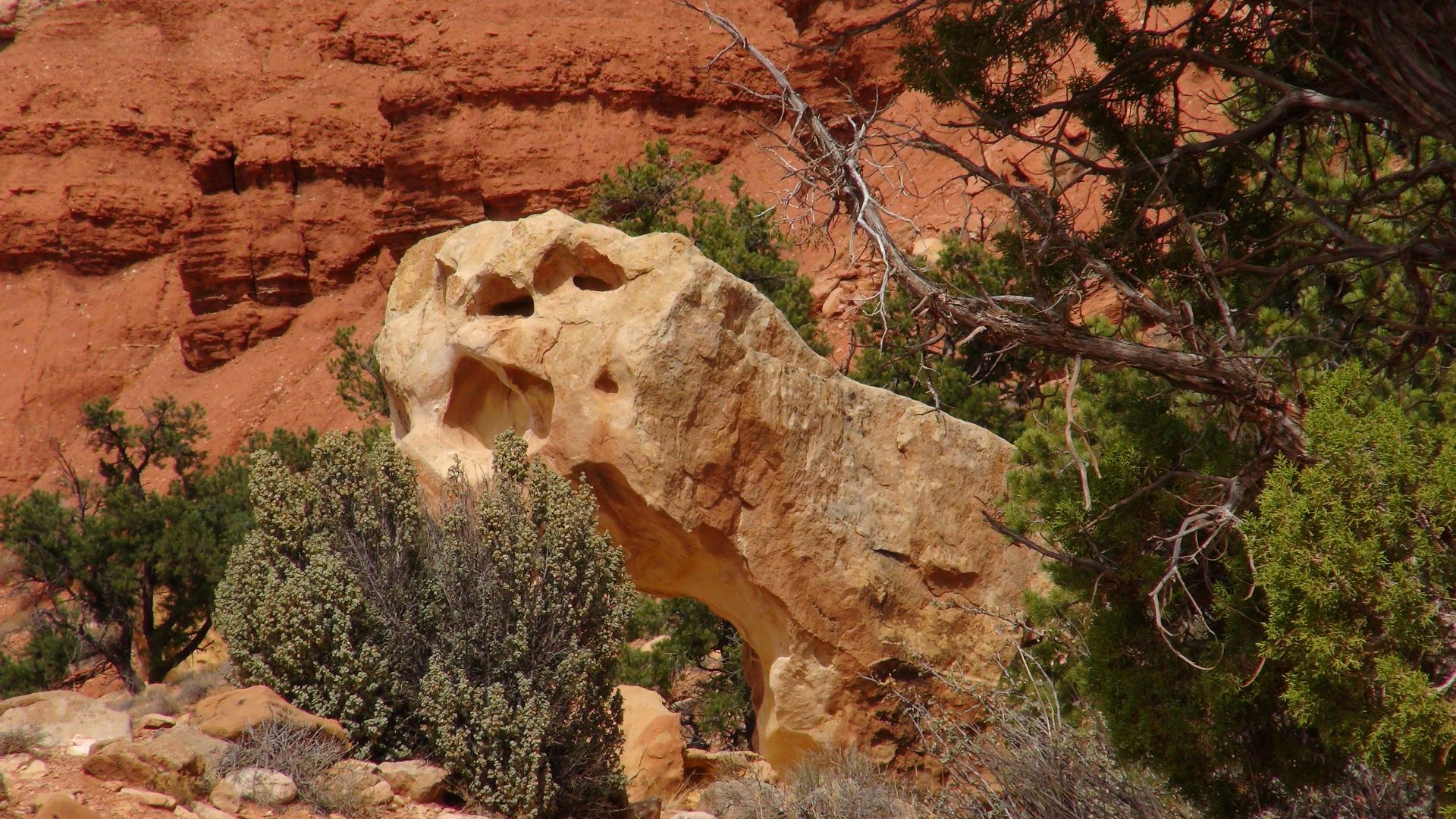 CAPITOL REEF NATIONAL PARK, USA