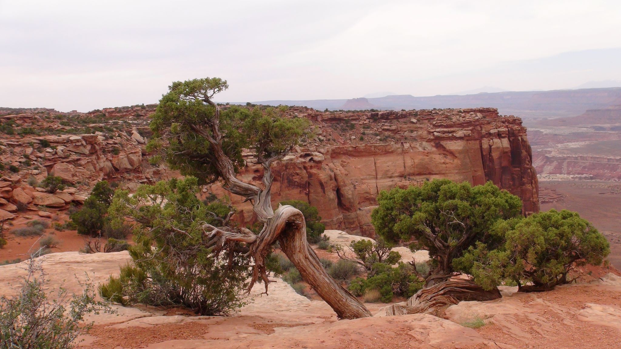 CANYONLANDS NATIONAL PARK, USA