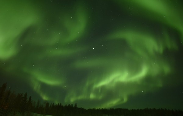 AURORA VILLAGE – NWT