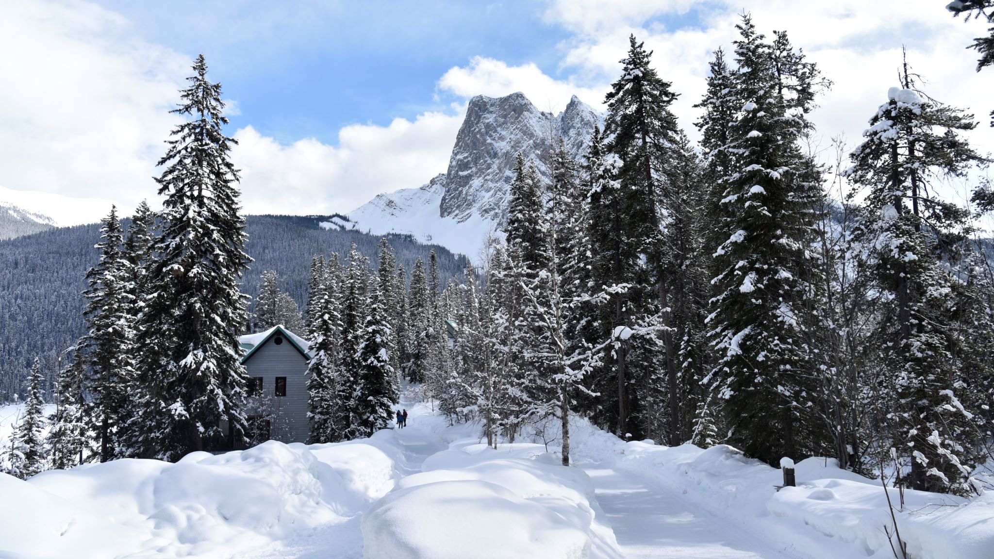 YOHO NATIONAL PARK, CANADA