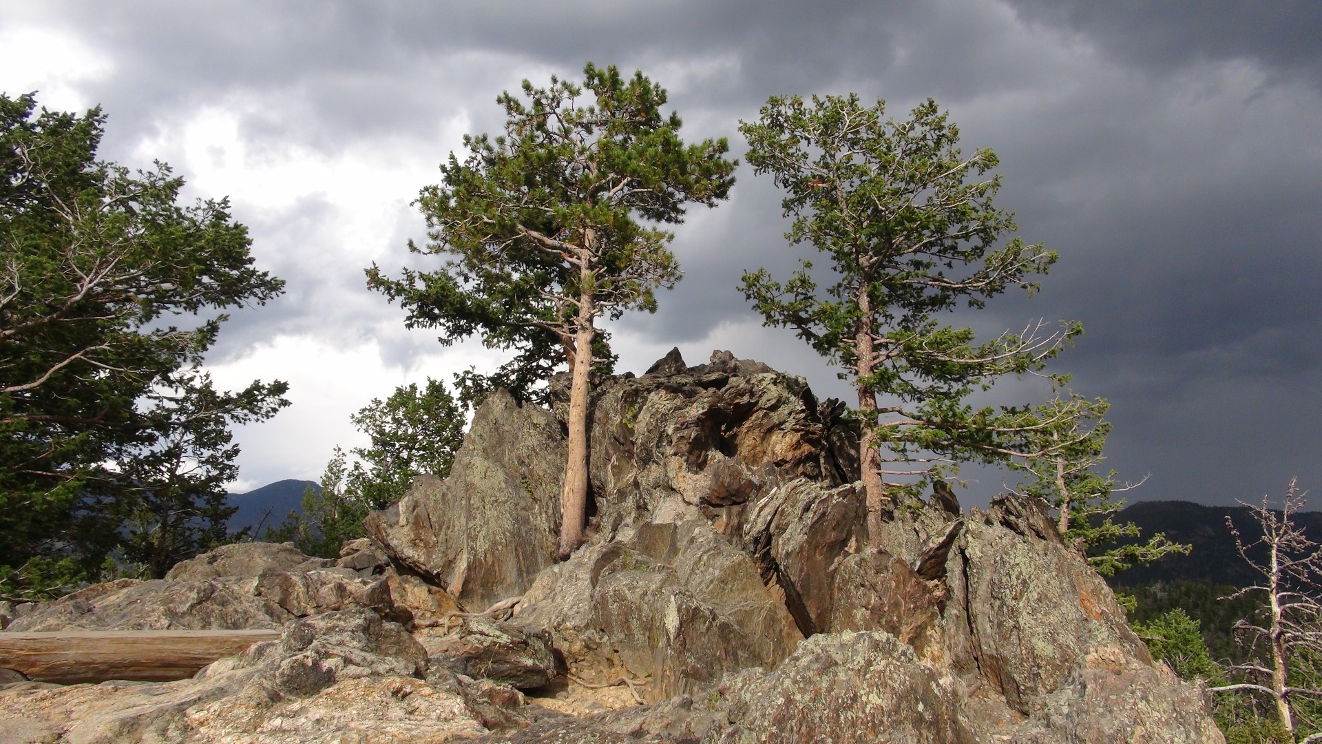 ROCKY MOUNTAIN NATIONAL PARK, USA