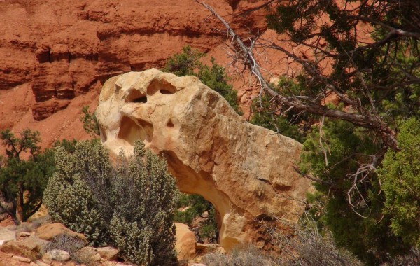 CAPITOL REEF NATIONAL PARK