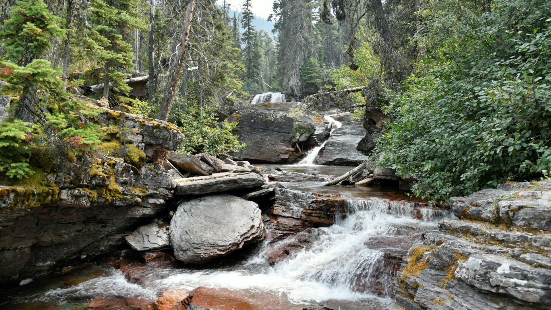 GLACIER NATIONAL PARK, USA