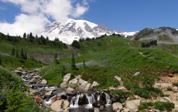 MOUNT RAINIER