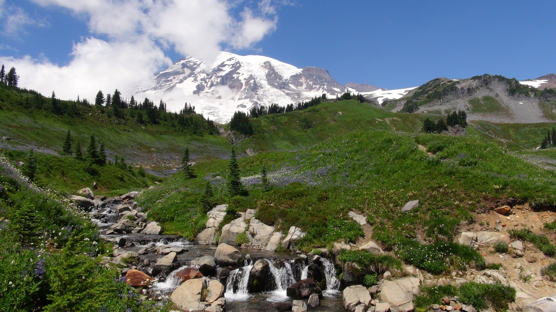 MOUNT RAINIER NATIONAL PARK, USA