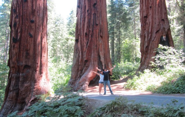 SEQUOIA NATIONAL PARK