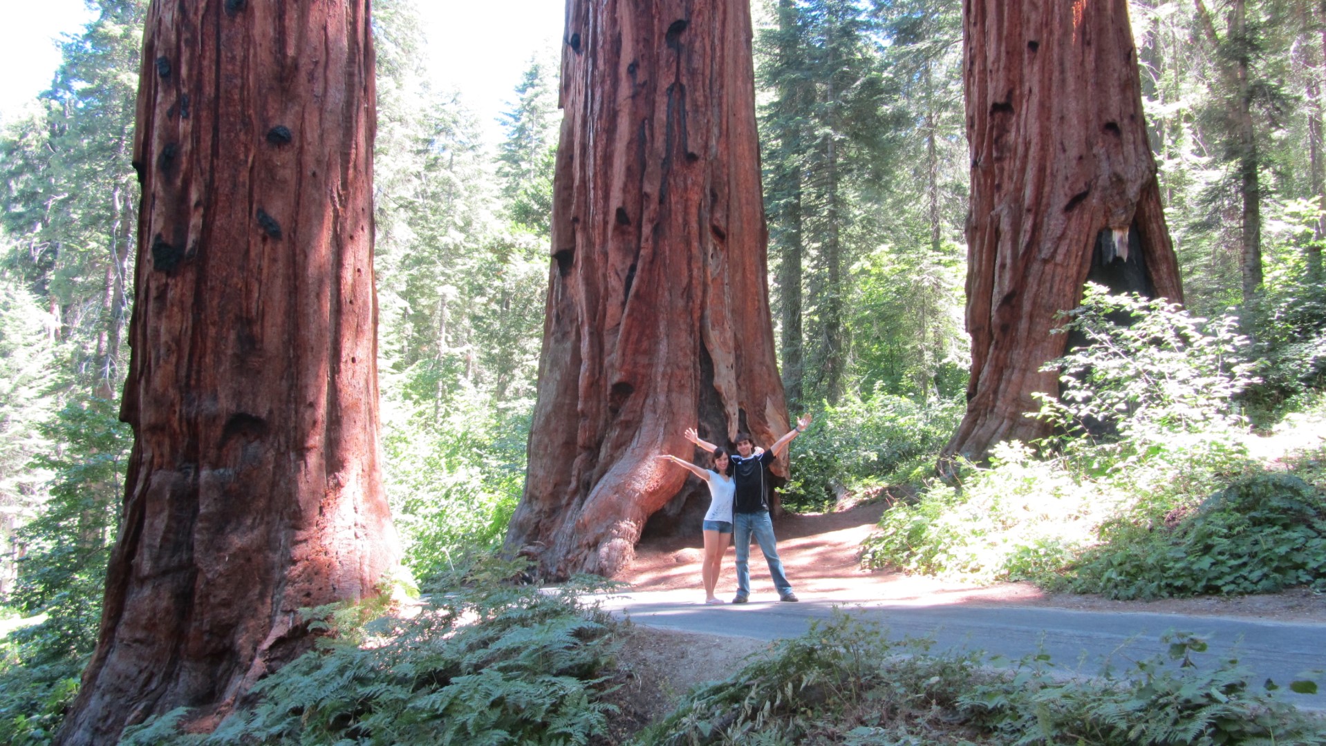 SEQUOIA NATIONAL PARK, USA