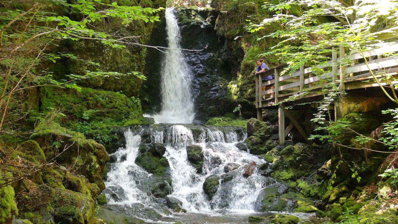 FUNDY NATIONAL PARK OF CANADA